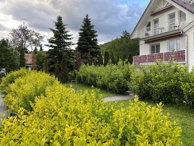Villa Astoria Balatongyörök Eksteriør billede